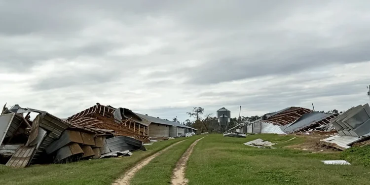 Hurricane Helene Inflicts Over $6,000,000,000 in Losses on Georgia Farms