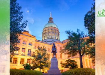 Understanding the Legislative Process in Georgia