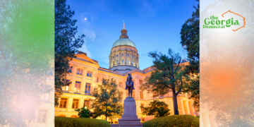 Understanding the Legislative Process in Georgia