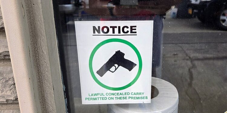 $22 Million Gun Factory Relocates From Virginia to Georgia Over ‘Anti-Gun’ Legislation