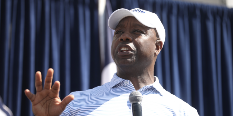 National Republicans Rally Behind Mike Collins After Senate Win
