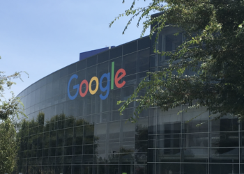 Google Funds Wetlands Project Amid Data Center Backlash