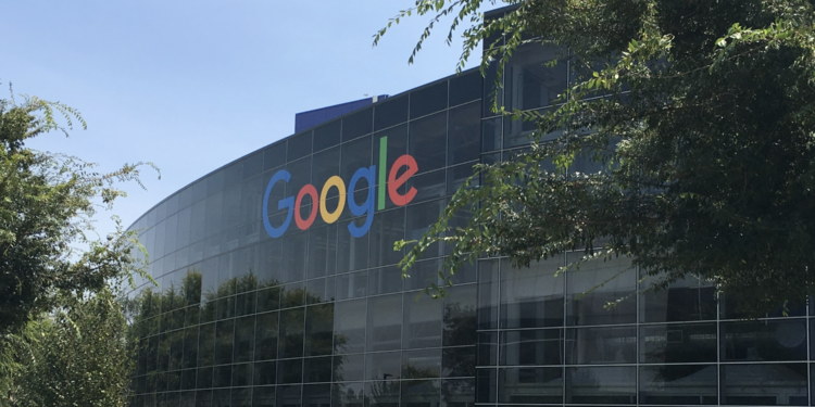 Google Funds Wetlands Project Amid Data Center Backlash