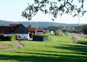 Effingham County Moves To Eliminate County Property Taxes On Homesteads