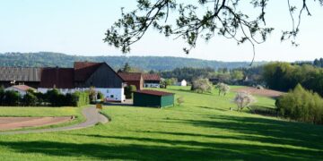 Effingham County Moves To Eliminate County Property Taxes On Homesteads