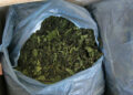 Atlanta Airport Officers Seize 4,000 Pounds Of Khat