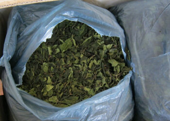 Atlanta Airport Officers Seize 4,000 Pounds Of Khat