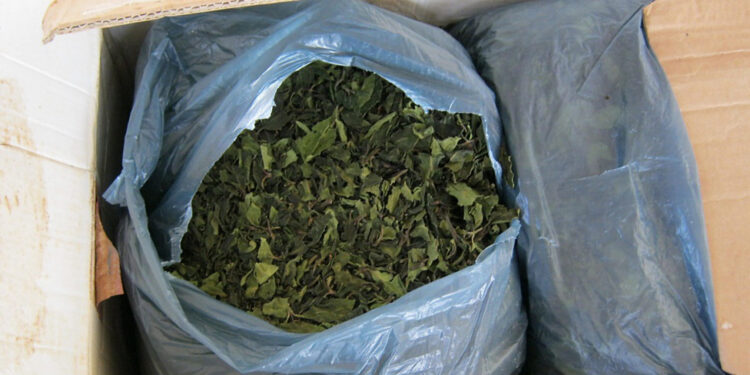 Atlanta Airport Officers Seize 4,000 Pounds Of Khat