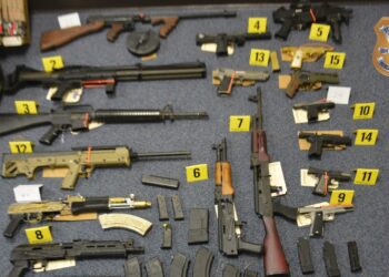 Six Arrested, 28 Guns Seized In Southeast Georgia Drug Probe