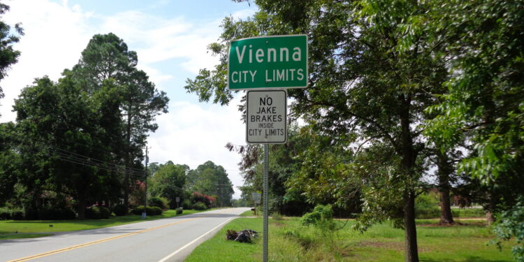 Two Killed, 35 Injured In Vienna Block Party Shooting